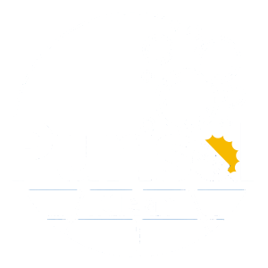 Purisol Clean